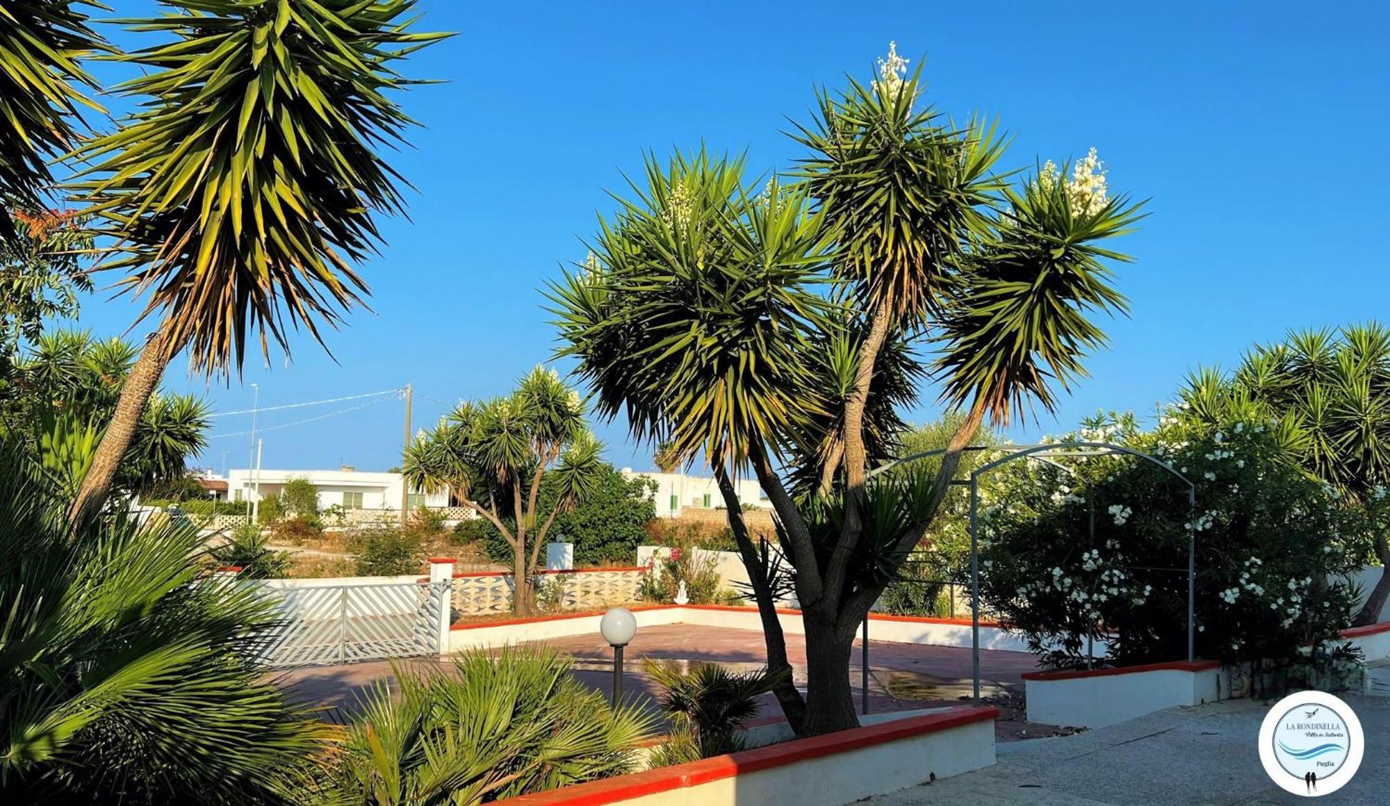 Villa La Rondinella - Torre San Giovanni Exteriör bild